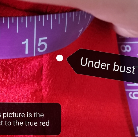 SIZE 10P LIZ CLAIBORNE Fitted Red Dress EUC - Picture 4 of 14